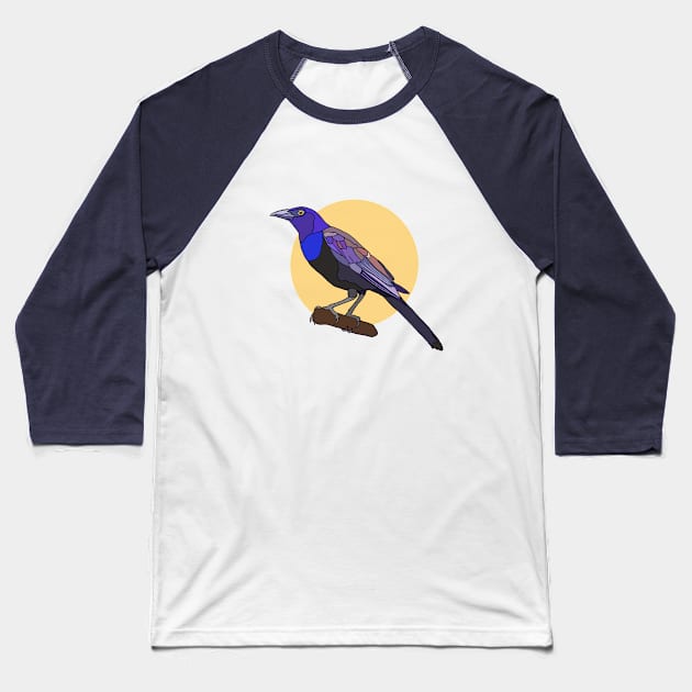 Common Grackle Baseball T-Shirt by New World Aster 